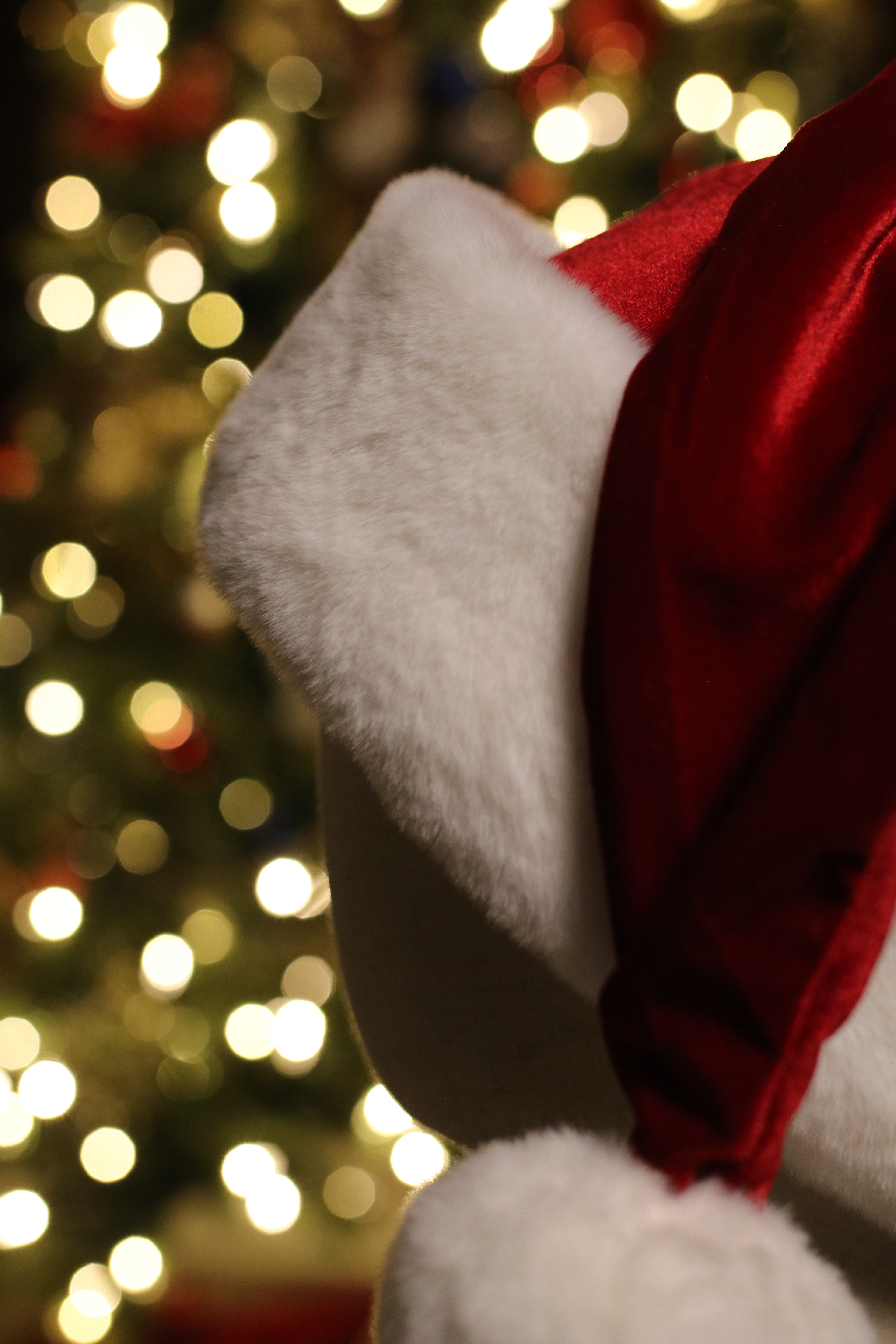 Classic red and white fur Santa hat